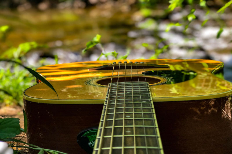 Armonia Naturale: Musicoterapia nel Giardino